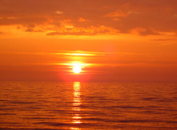 عکس پروفایل جنگل تاریک