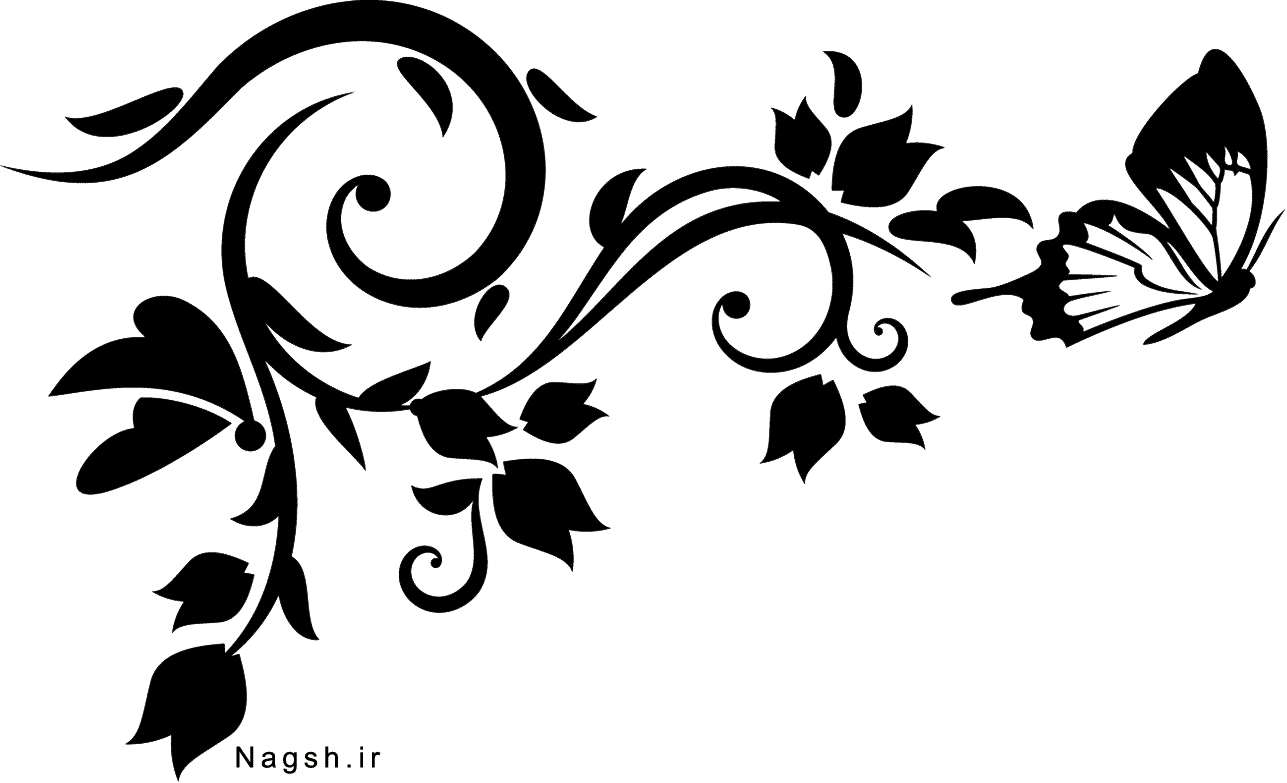 گل و بوته با زمینه شفاف