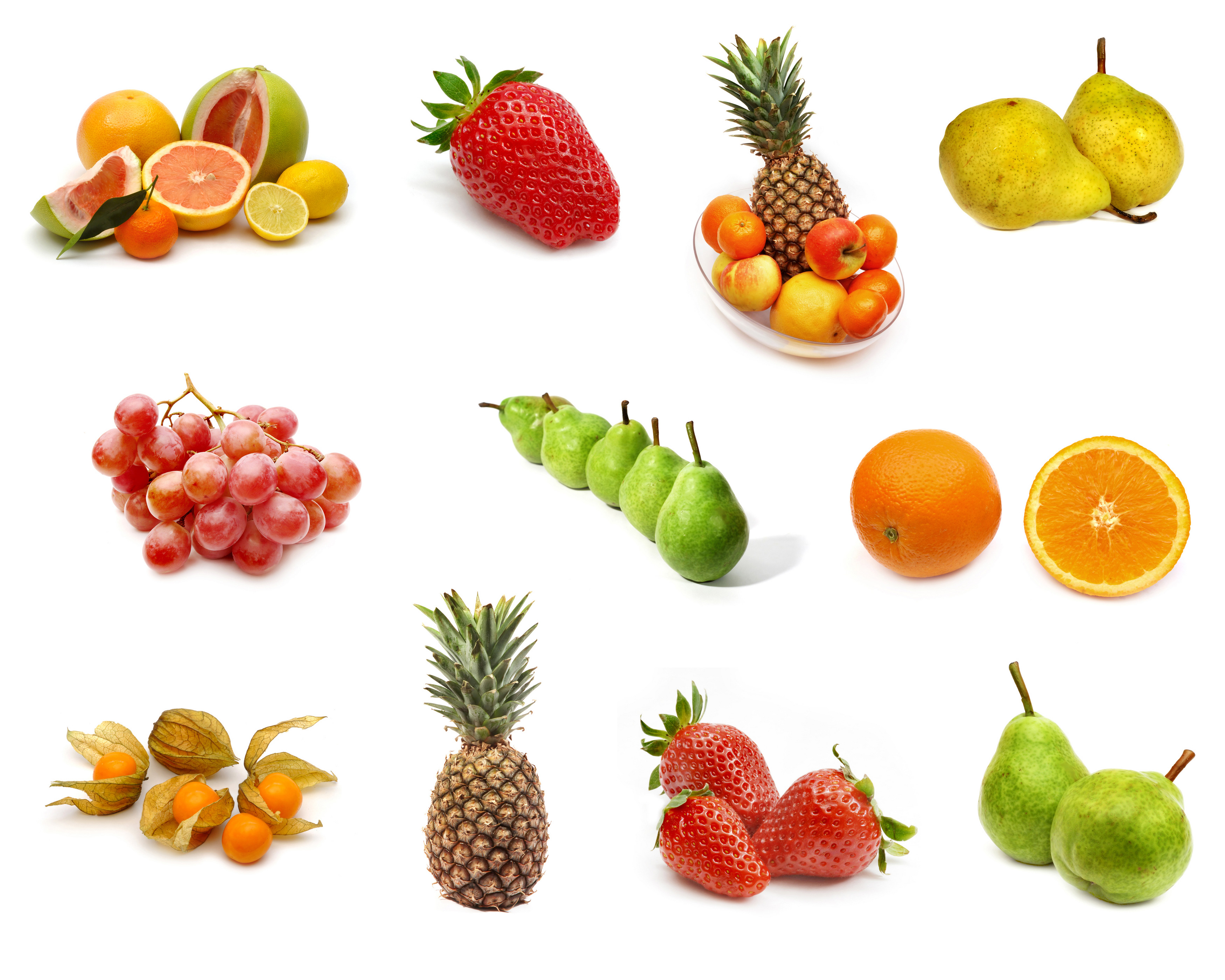 انواع میوه ها