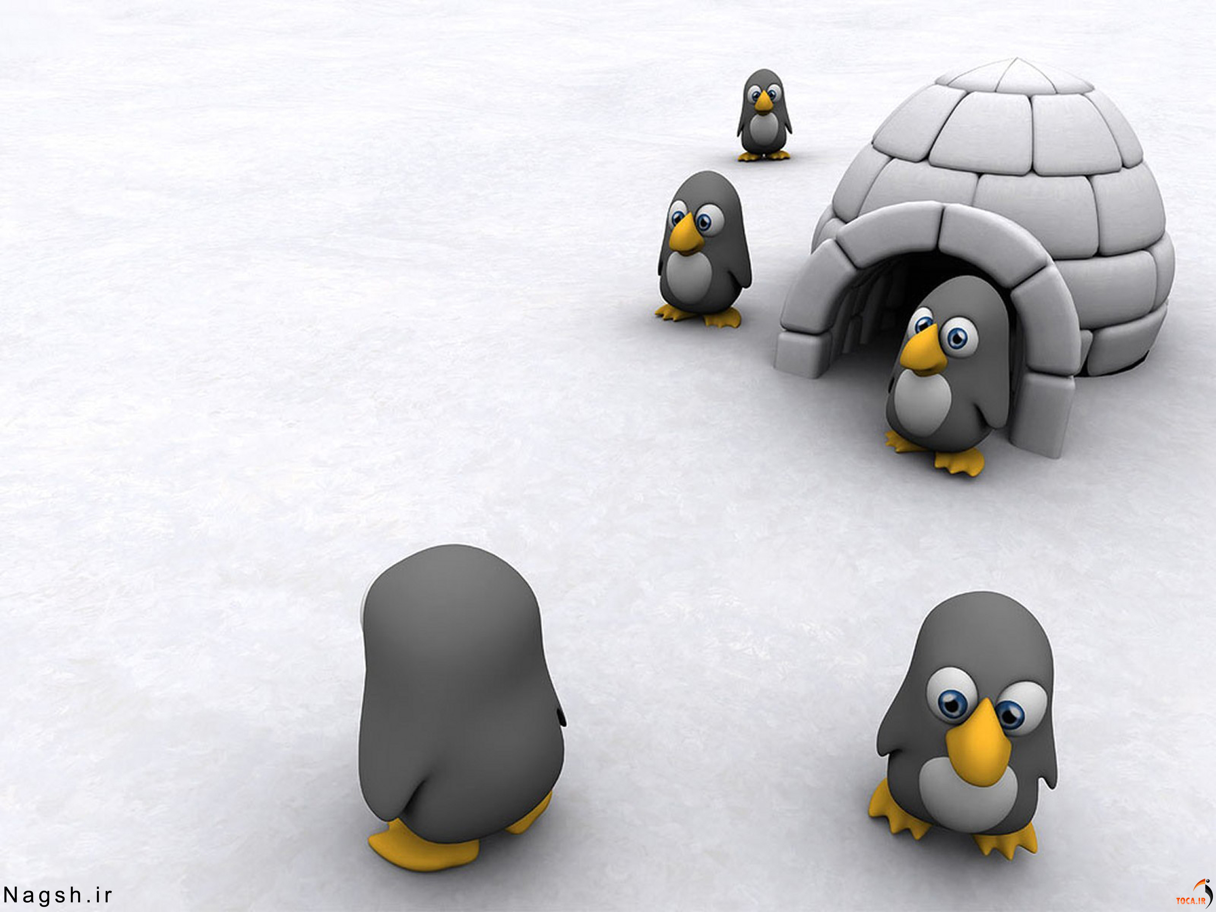 پنگوئن ها و خانه یخی
