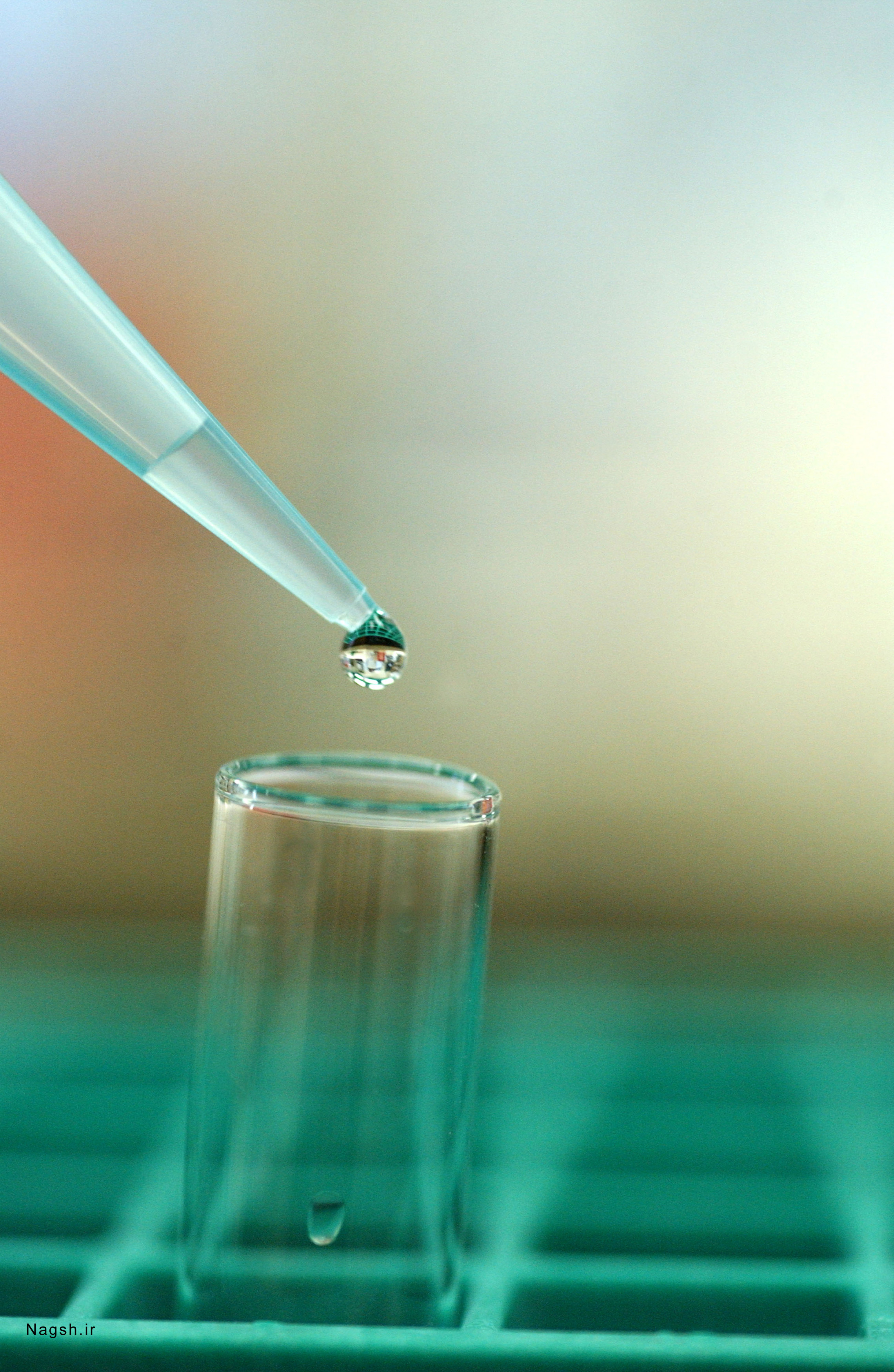 Fluid capacity. Fluid capacity