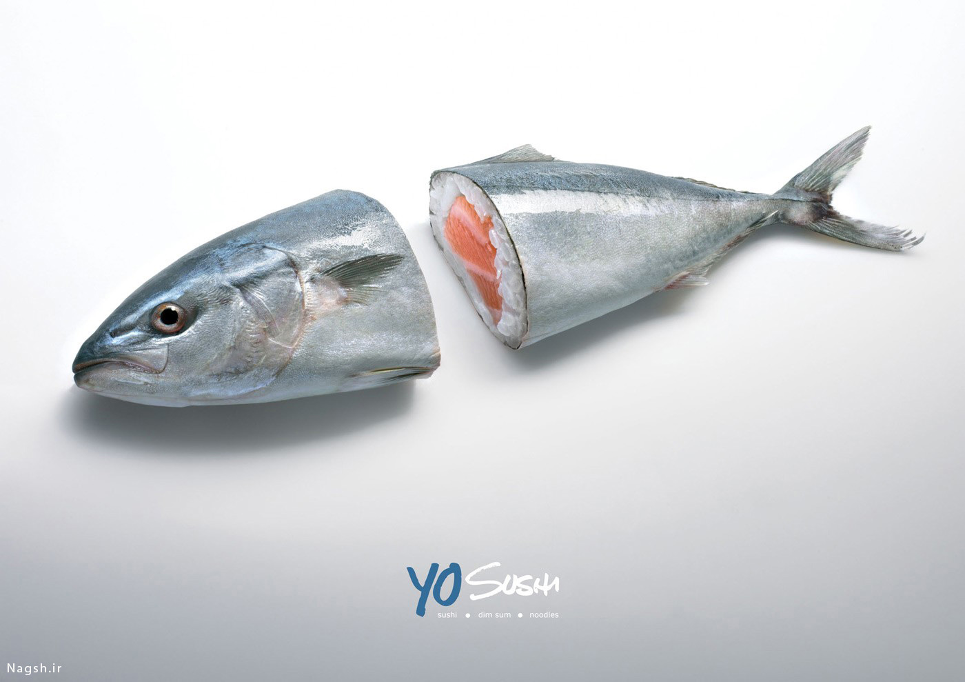 پوستر تبلیغاتی ماهی
