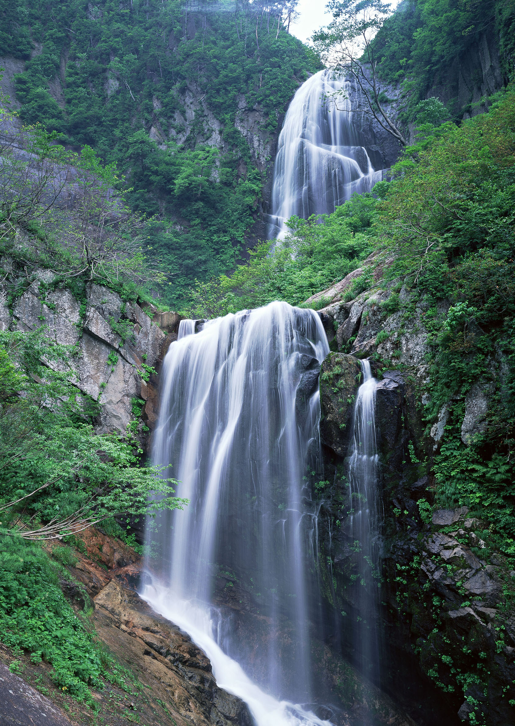 آبشار سر سبز