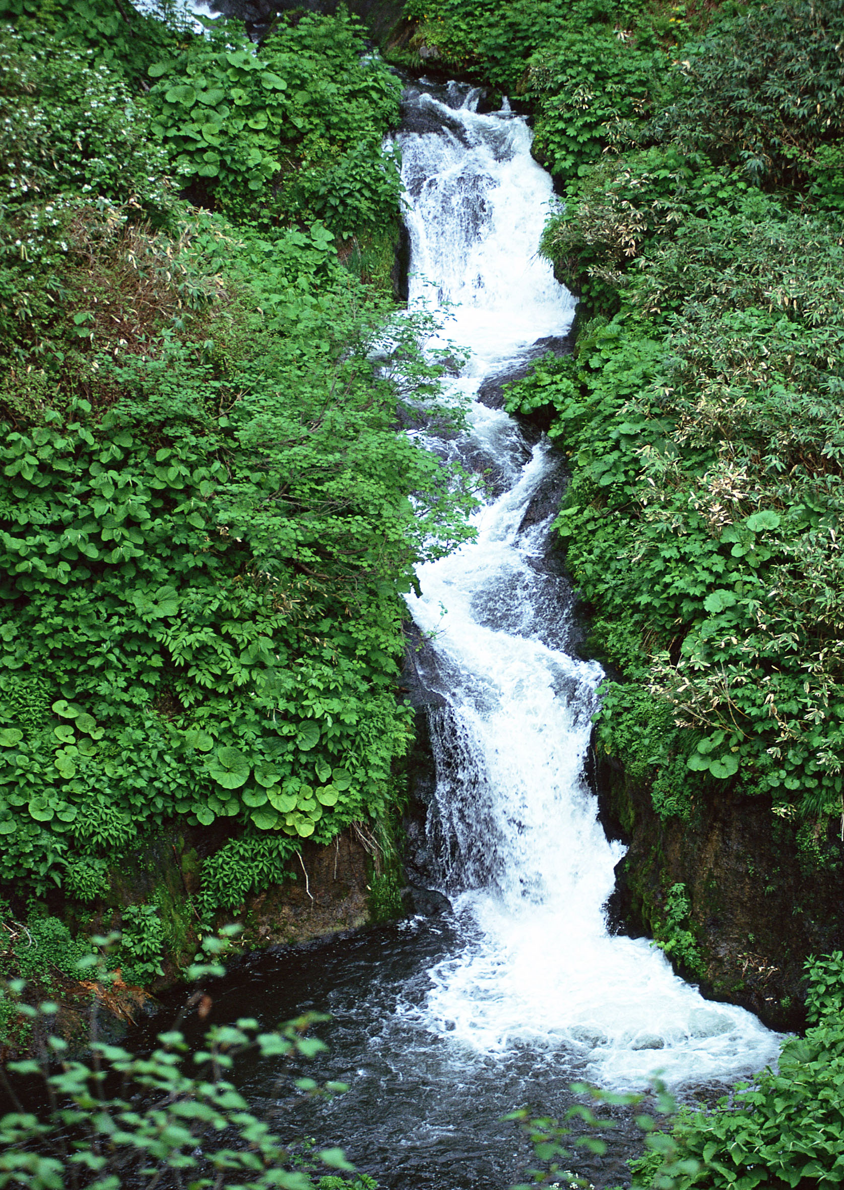 آبشاری از میان تپه ای سر سبز