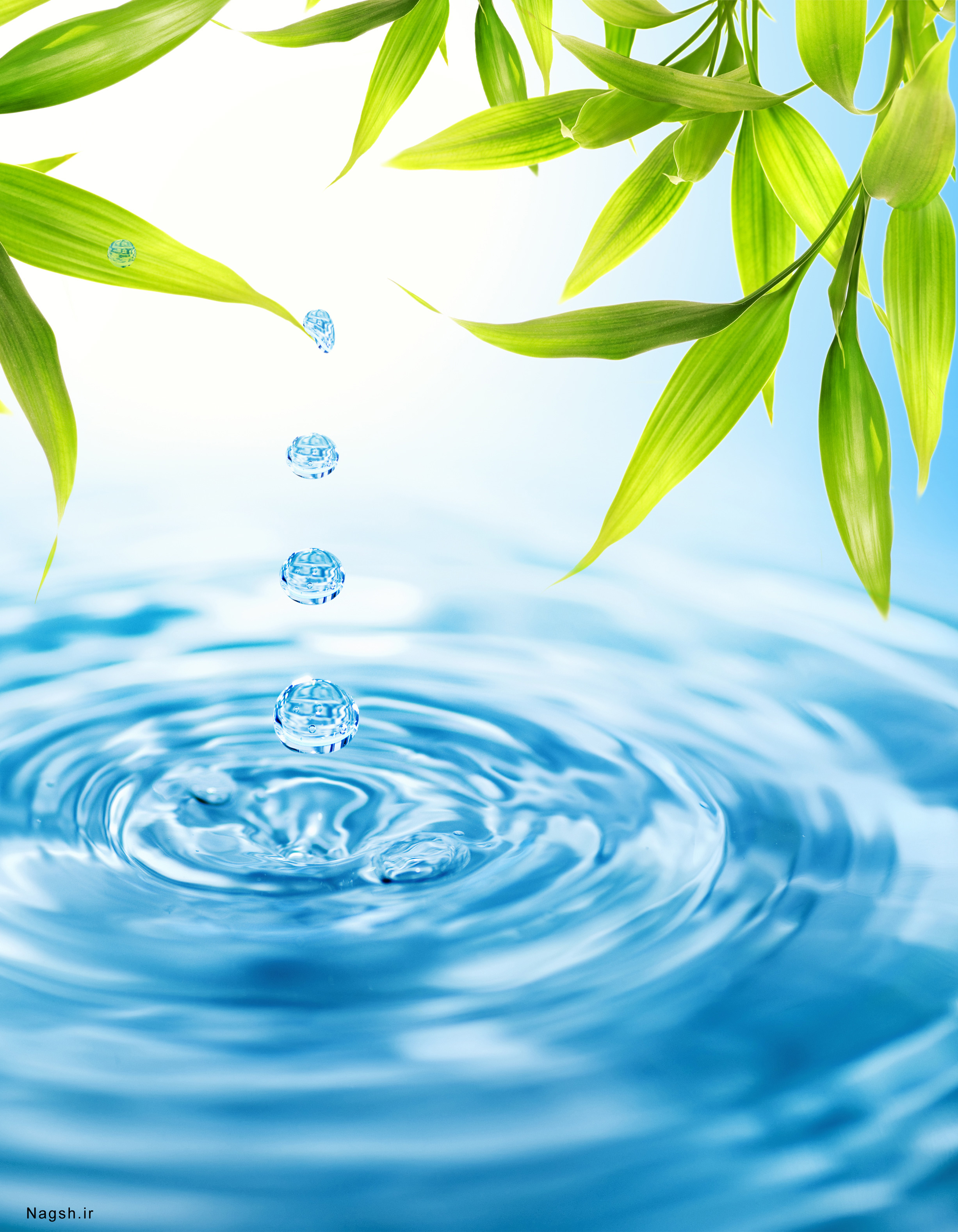 Растительный источник воды. Чистая вода. Вода фон. Вода картинки. Фон для презентации вода.