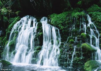 آبشار در دل جنگل