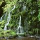 آبشار در دل جنگل