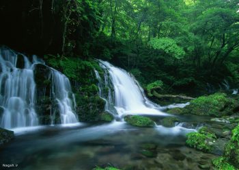 آبشار سبز