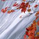 برگهای پاییزی در کنار آبشار