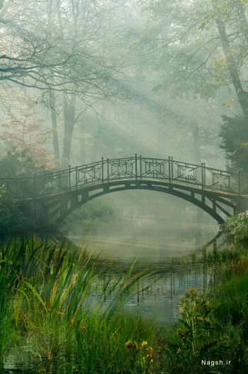 پلی بر روی مه