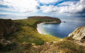 عکس پروفایل جنگل تاریک