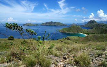 عکس پروفایل جنگل تاریک