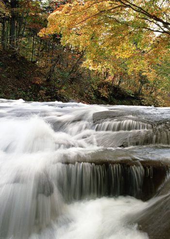 عکس خفن عکس پروفایل جنگل و دریا