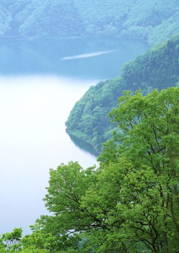 عکس خفن عکس پروفایل جنگل و دریا