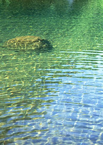 آب زلال رود